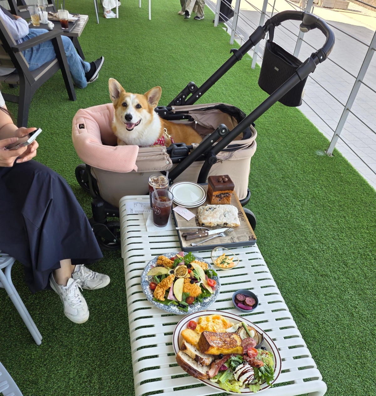 아이나카페 야외 테라스에서 코기와 브런치