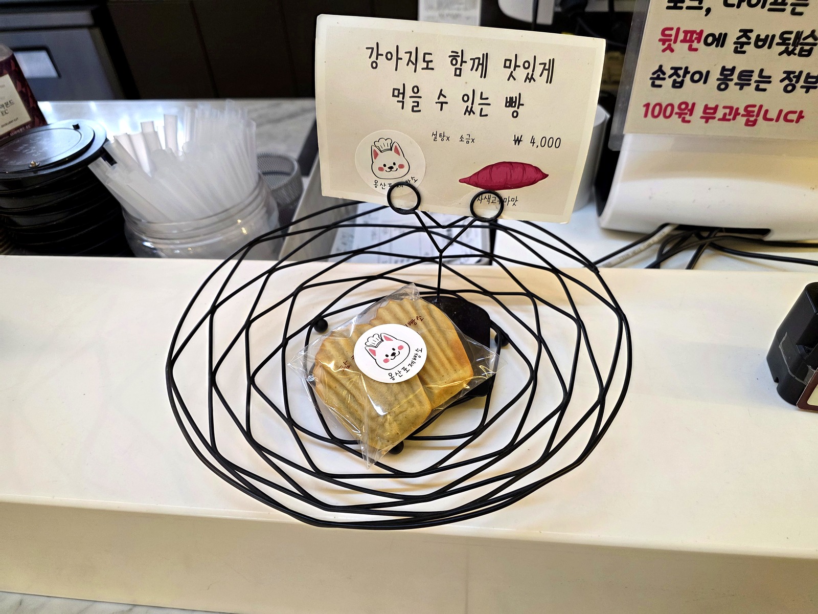 강아지도 먹을 수 있는 강아지빵