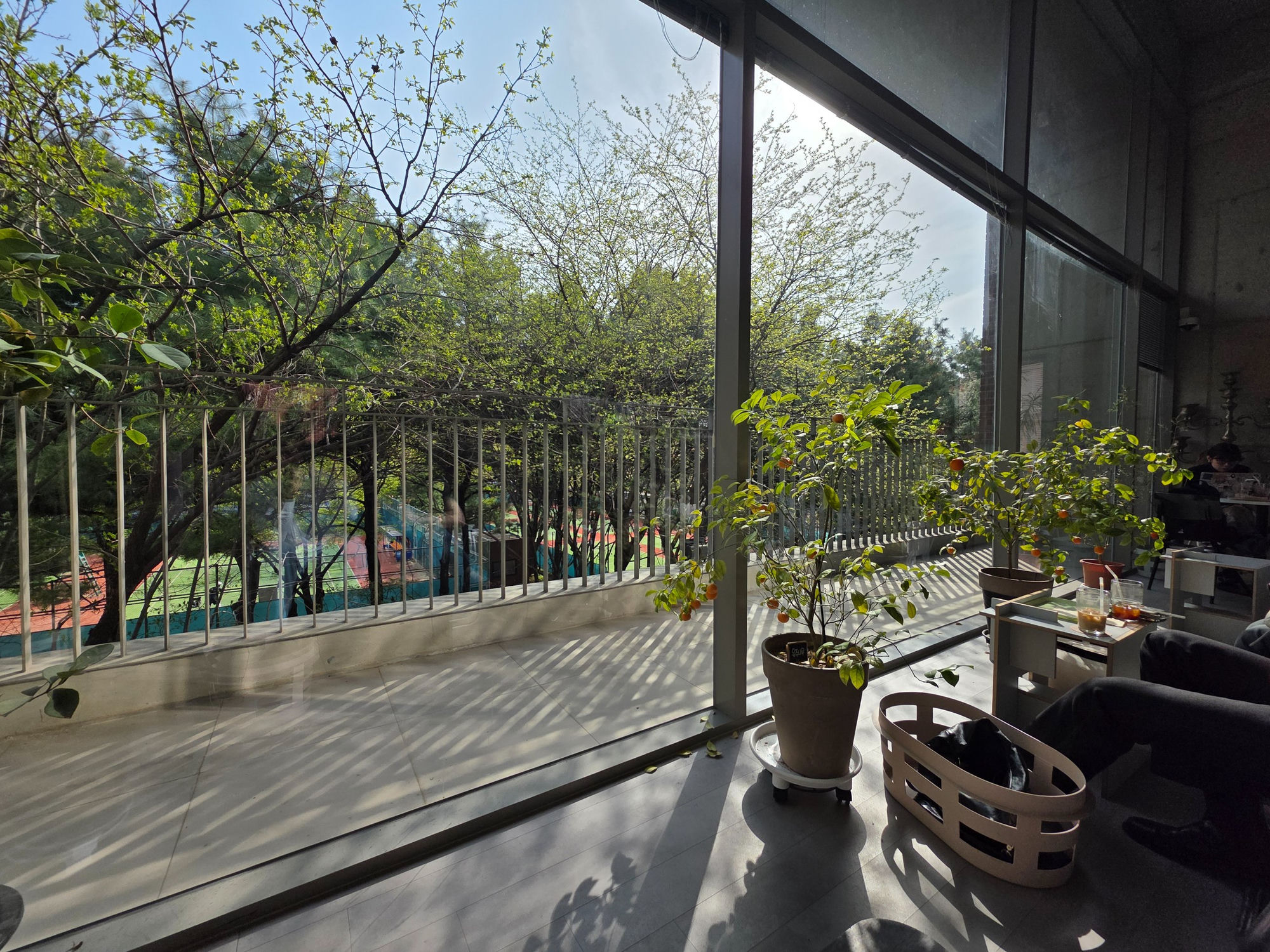 플래드카페 테라스 서울숲 뷰